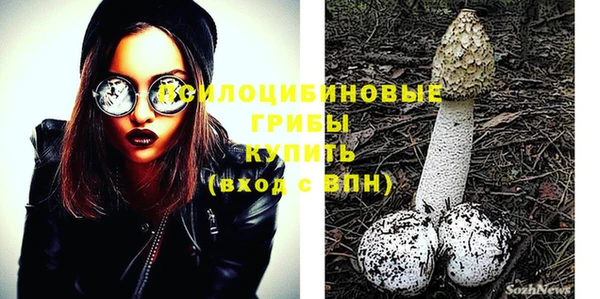 ГАЛЛЮЦИНОГЕННЫЕ ГРИБЫ Пестово