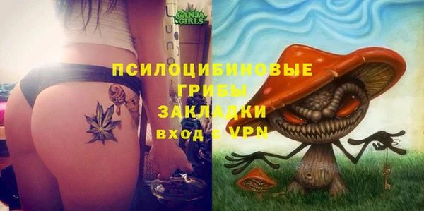 трава Абинск