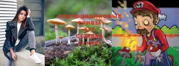 трава Абинск