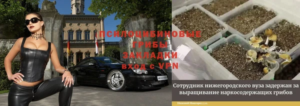 ALPHA-PVP Алексеевка