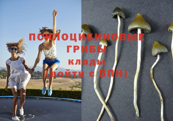 альфа пвп Алзамай